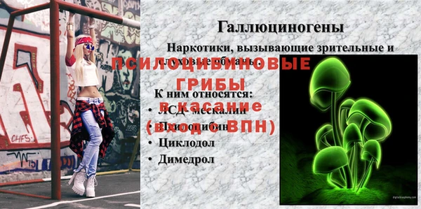 спайс Инсар