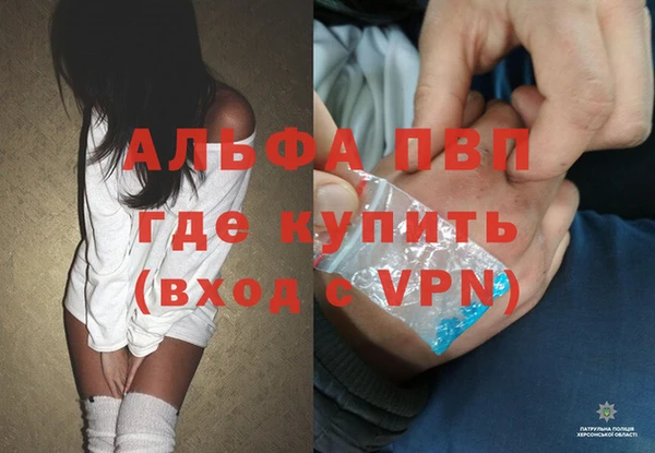 спайс Инсар